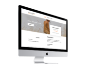écran d'un site internet créé par l'agence grain de sell Paimpol