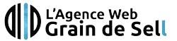 Agence Grain de Sell Paimpol Logo